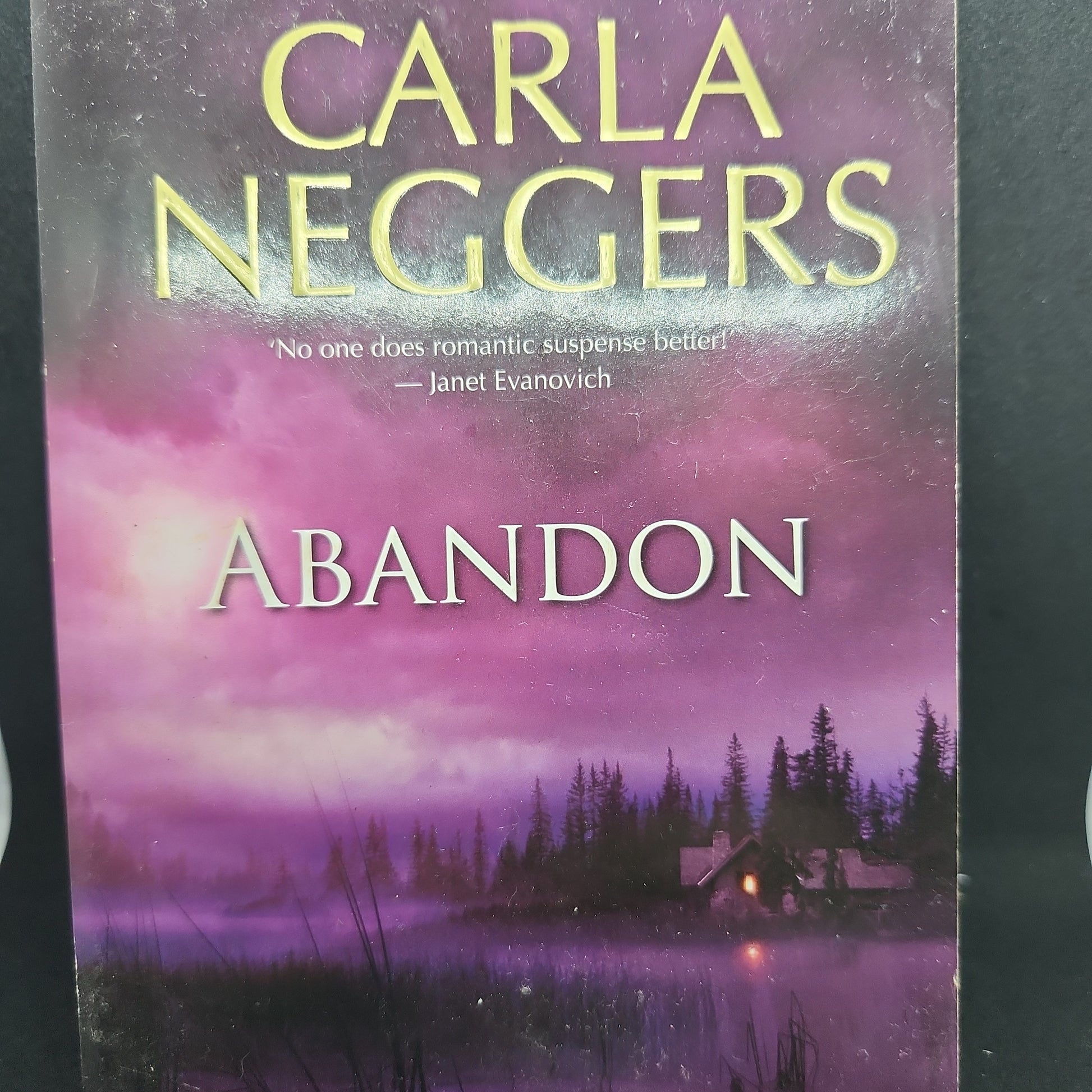 Abandon by Carla Neggers - TOGA Multiverse