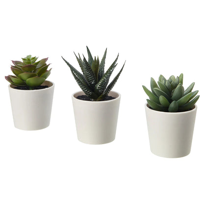 3 Pack of Artificial Succulent Potted Plants in White Plastic 6cm Pot Interior Decoration - TOGA Multiverse