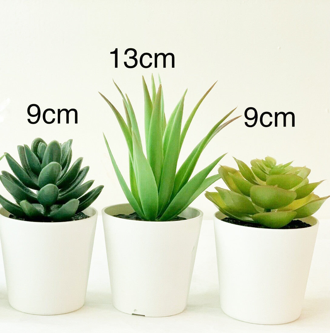 3 Pack of Artificial Succulent Potted Plants in White Plastic 6cm Pot Interior Decoration - TOGA Multiverse