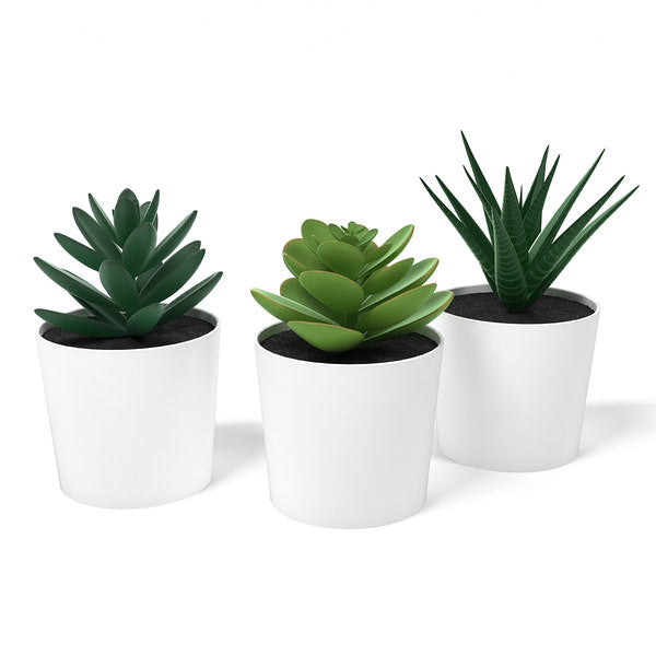 3 Pack of Artificial Succulent Potted Plants in White Plastic 6cm Pot Interior Decoration - TOGA Multiverse