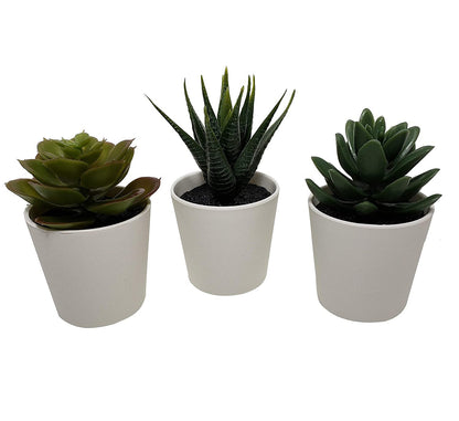 3 Pack of Artificial Succulent Potted Plants in White Plastic 6cm Pot Interior Decoration - TOGA Multiverse